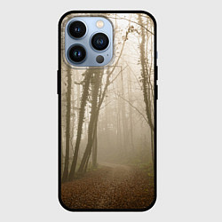 Чехол для iPhone 13 Pro Туманный лес на восходе, цвет: 3D-черный