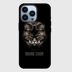 Чехол iPhone 13 Pro Maine coon - кот