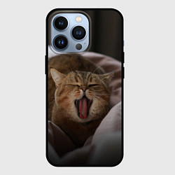 Чехол iPhone 13 Pro Эх, поспать бы! Зевающий котяра