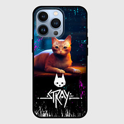 Чехол iPhone 13 Pro Stray Cat: Бродячий Кот