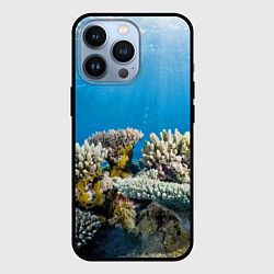 Чехол для iPhone 13 Pro Кораллы в тропических водах индийского океана, цвет: 3D-черный