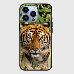 Чехол для iPhone 13 Pro Матёрый тигр в зарослях бамбука, цвет: 3D-черный