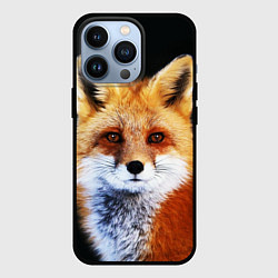 Чехол для iPhone 13 Pro Лиса рыжулька, цвет: 3D-черный