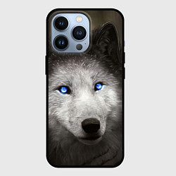 Чехол для iPhone 13 Pro Волчица с голубыми глазами, цвет: 3D-черный