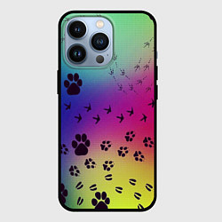Чехол iPhone 13 Pro Следы кошек и птиц