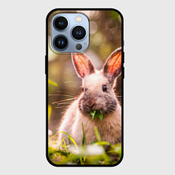 Чехол iPhone 13 Pro Милый кролик