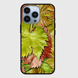 Чехол iPhone 13 Pro Осенние листья клёна - паттерн