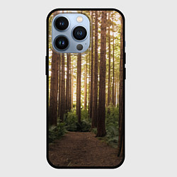 Чехол iPhone 13 Pro Дневной лес, деревья и свет