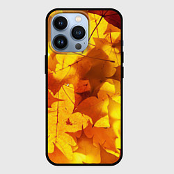 Чехол iPhone 13 Pro Осенние золотые листья
