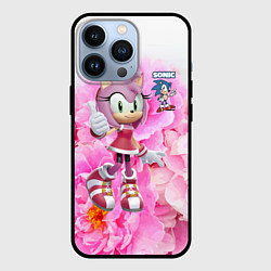 Чехол iPhone 13 Pro Sonic - Amy Rose - Video game