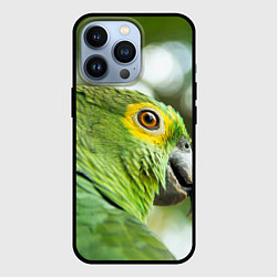 Чехол iPhone 13 Pro Попугaй