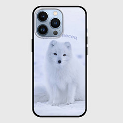 Чехол для iPhone 13 Pro Просто песец на снегу, цвет: 3D-черный