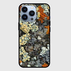 Чехол для iPhone 13 Pro Лишайниковый лес, цвет: 3D-черный