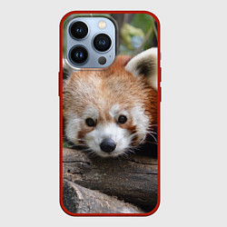Чехол iPhone 13 Pro Красная панда