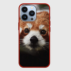 Чехол iPhone 13 Pro Малая панда
