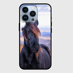 Чехол iPhone 13 Pro Черный конь