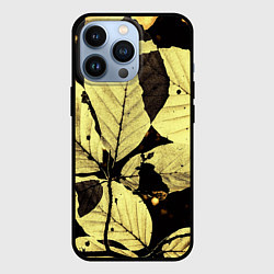 Чехол для iPhone 13 Pro Magic Аutumn, цвет: 3D-черный