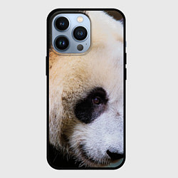Чехол iPhone 13 Pro Загадочная панда