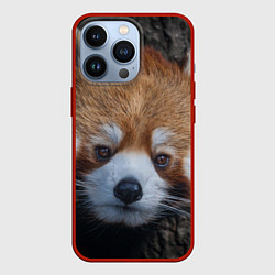 Чехол iPhone 13 Pro Крaсная панда