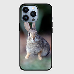 Чехол iPhone 13 Pro Малыш кролик
