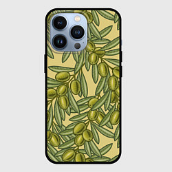 Чехол для iPhone 13 Pro Винтажные ветви оливок, цвет: 3D-черный