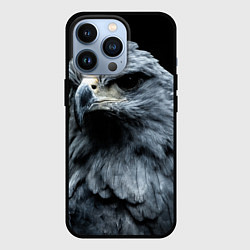 Чехол для iPhone 13 Pro Oрёл, цвет: 3D-черный