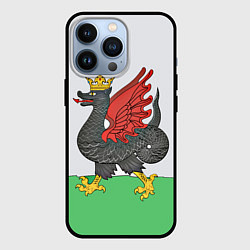Чехол для iPhone 13 Pro Герб города Казань, цвет: 3D-черный