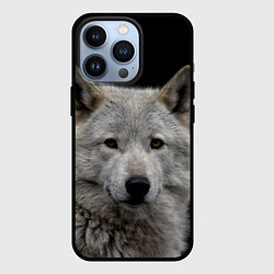 Чехол iPhone 13 Pro Серый волк на темном фоне