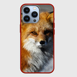 Чехол для iPhone 13 Pro Лиc, цвет: 3D-красный