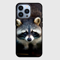 Чехол для iPhone 13 Pro Застенчивый енот, цвет: 3D-черный