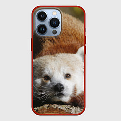 Чехол для iPhone 13 Pro Красная панда ждёт, цвет: 3D-красный