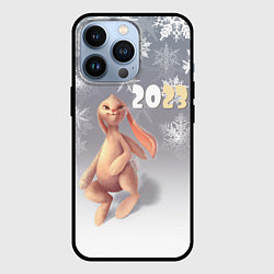 Чехол для iPhone 13 Pro Славный кролик, цвет: 3D-черный