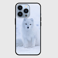 Чехол iPhone 13 Pro Белоснежный Песец