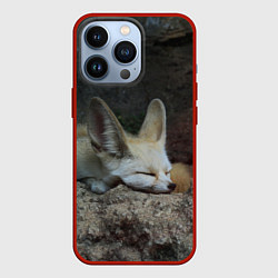 Чехол для iPhone 13 Pro Фенек, цвет: 3D-красный