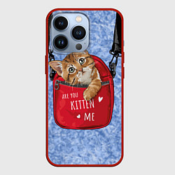 Чехол iPhone 13 Pro Are you kitten me