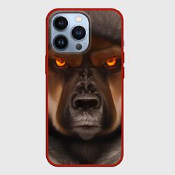 Чехол iPhone 13 Pro Тещин медведь