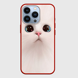 Чехол iPhone 13 Pro Милый кот с большими глазами