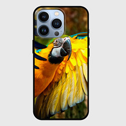 Чехол iPhone 13 Pro Взлёт попугая