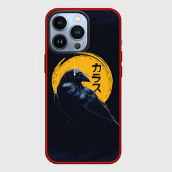 Чехол iPhone 13 Pro Raven and moon