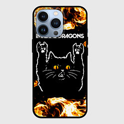 Чехол для iPhone 13 Pro Imagine Dragons рок кот и огонь, цвет: 3D-черный