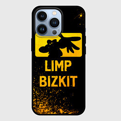 Чехол iPhone 13 Pro Limp Bizkit - gold gradient