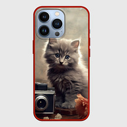 Чехол iPhone 13 Pro Серый котенок, винтажное фото