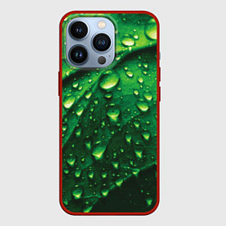 Чехол для iPhone 13 Pro Утренняя роса, цвет: 3D-красный