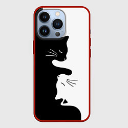 Чехол для iPhone 13 Pro Котики Инь-Янь, цвет: 3D-красный