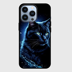 Чехол iPhone 13 Pro Черный кот - брызги воды