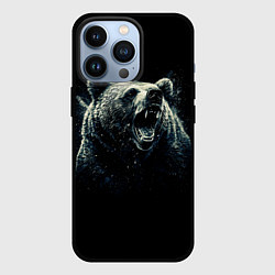 Чехол для iPhone 13 Pro Медведь разъярённый, цвет: 3D-черный