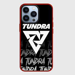 Чехол iPhone 13 Pro Tundra style
