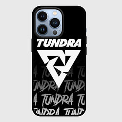 Чехол iPhone 13 Pro Tundra style