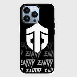 Чехол iPhone 13 Pro Entity