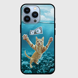 Чехол iPhone 13 Pro Nirvana Cat
